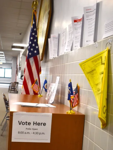 Aug. 11 is Primary Election Day